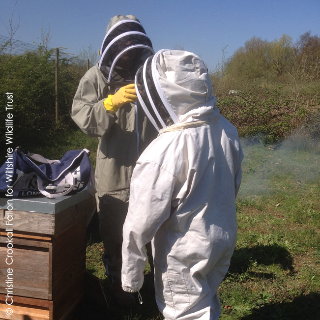 Wiltshire Wildlife Trust