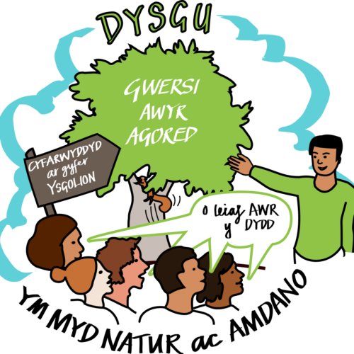 Welsh Ask 1 graphic