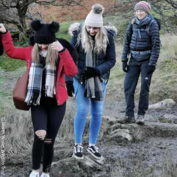 5 North Wales Wildlife Trust (19)